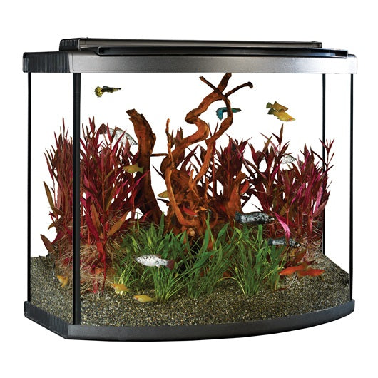 What Sizes and Shapes Do Bow-Front Fish Tanks Come In? - Fish Tanks Direct
