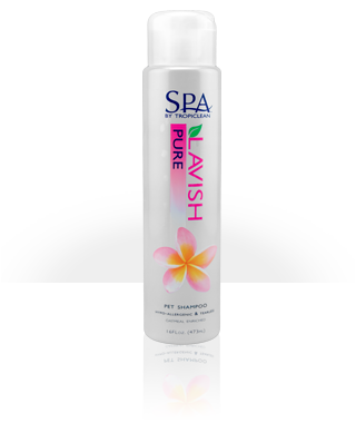 SPA Shampoo - Pure