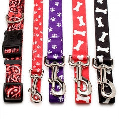 Dog Collars / Leads