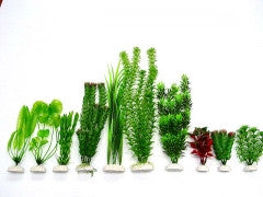 Plants / Decor