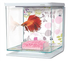 Marina Betta Kit - Floral