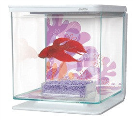 Marina Betta Kit - Flower