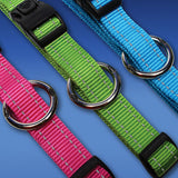 Rogz Utility Collar