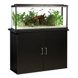Fluval 55 gal LED Aquarium Kit