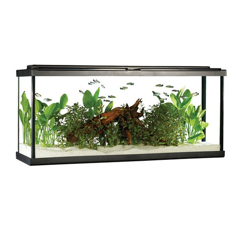 Fluval 55 gal LED Aquarium Kit – Patches Pet Supply