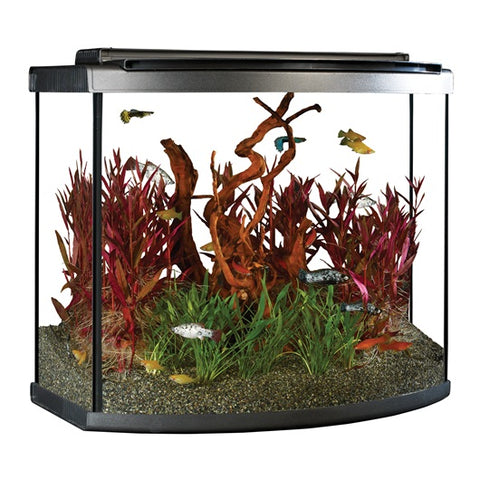 Fluval 26 gal LED Bow Aquarium Kit