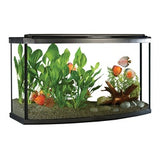 Fluval 45 gal LED Bow Aquarium Kit