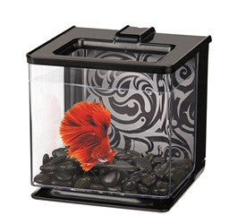 Marina EZ Care Betta Kit - Black