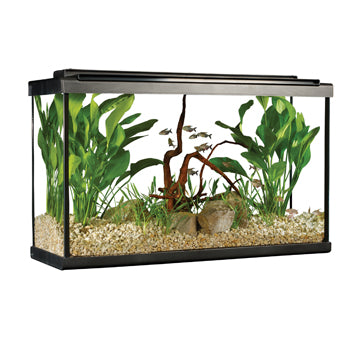 Fluval 29 gal LED Tall Aquarium Kit